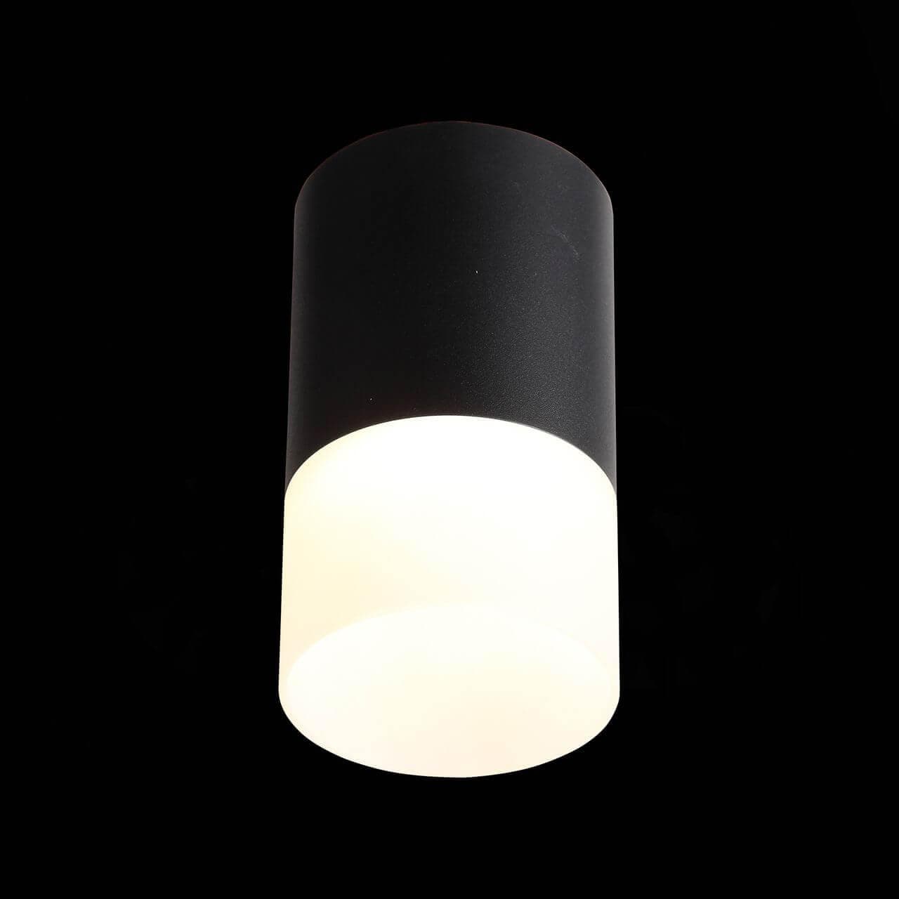 ST Luce ST100.402.05 Светильник потолочный Черный LED 1*5W 3000K 390Lm Ra>80 120° D64xH110 170-240VV — миниатюра 2