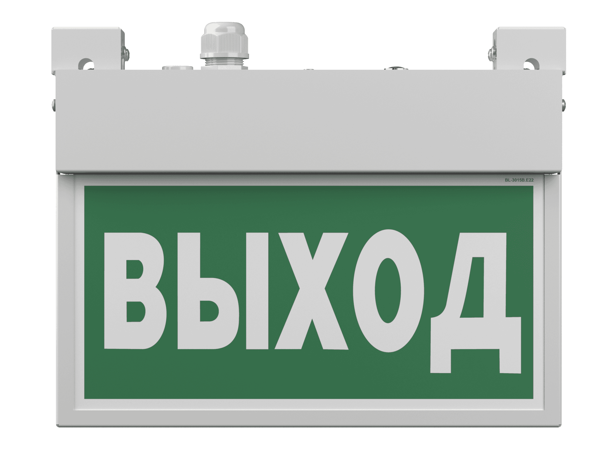 Белый свет Световой указатель BS-FLAG-71-S1-INEXI3-MSS3 a15614 — миниатюра 5