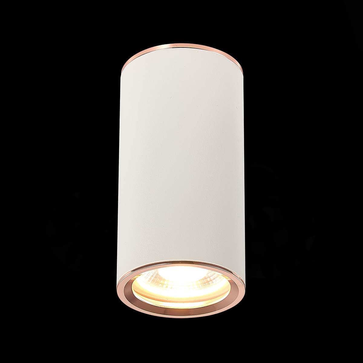 ST Luce ST111.527.01 Светильник потолочный Белый GU10 1*50W D54xH105 220V Без ламп — миниатюра 2