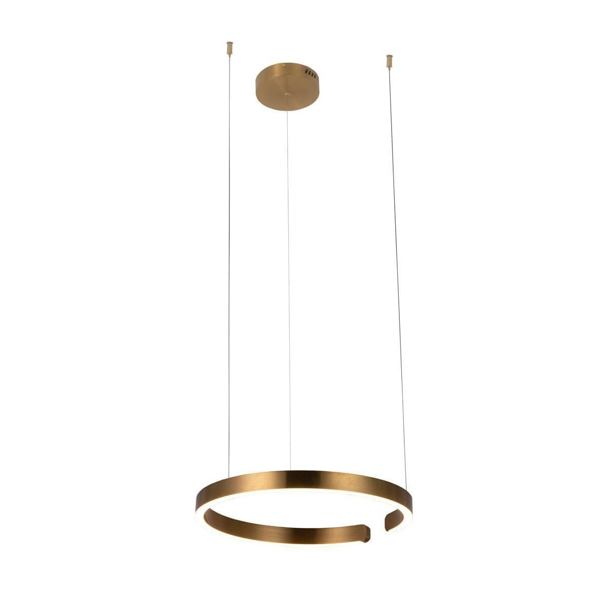 LOFT IT 10013M Светильник подвесной Ring, шт — миниатюра 1