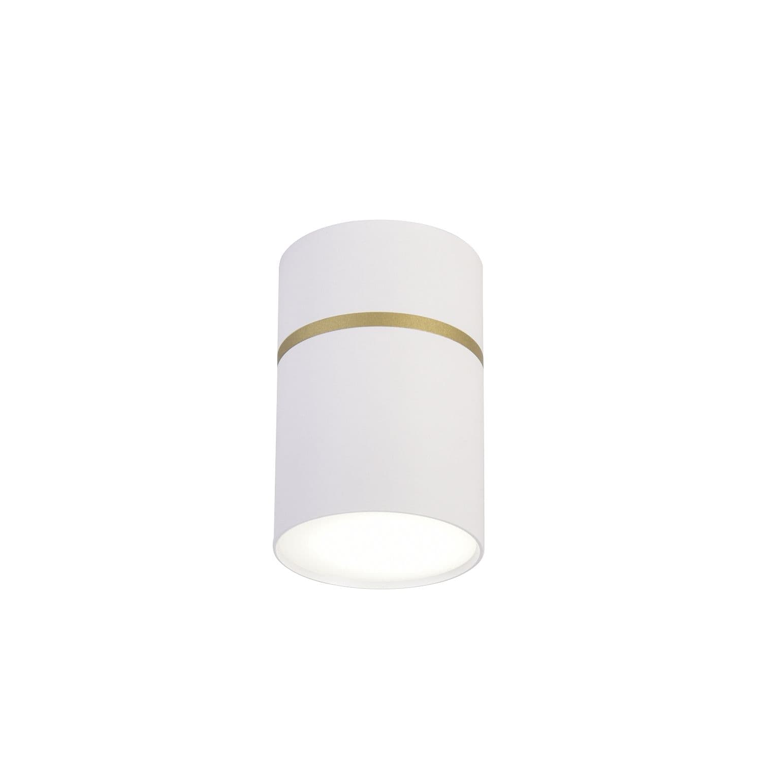 Favourite Потолочный светильник Dunia D68*H100 1*GU10LED*10W, IP20, excluded 3067-1C