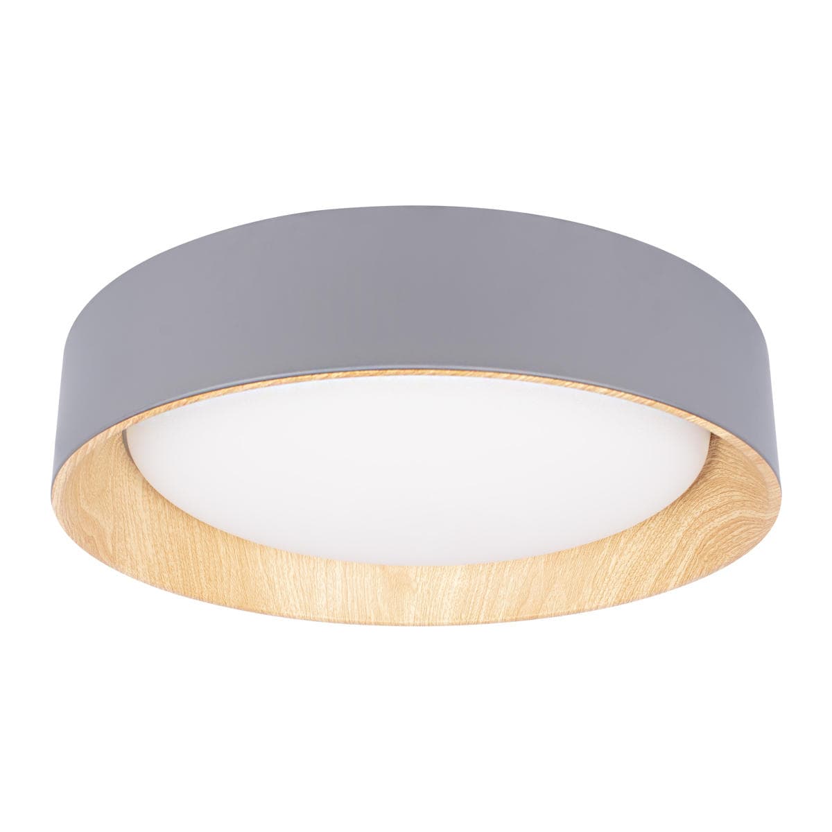 LOFT IT 10202 Grey Потолочный светильник Coin