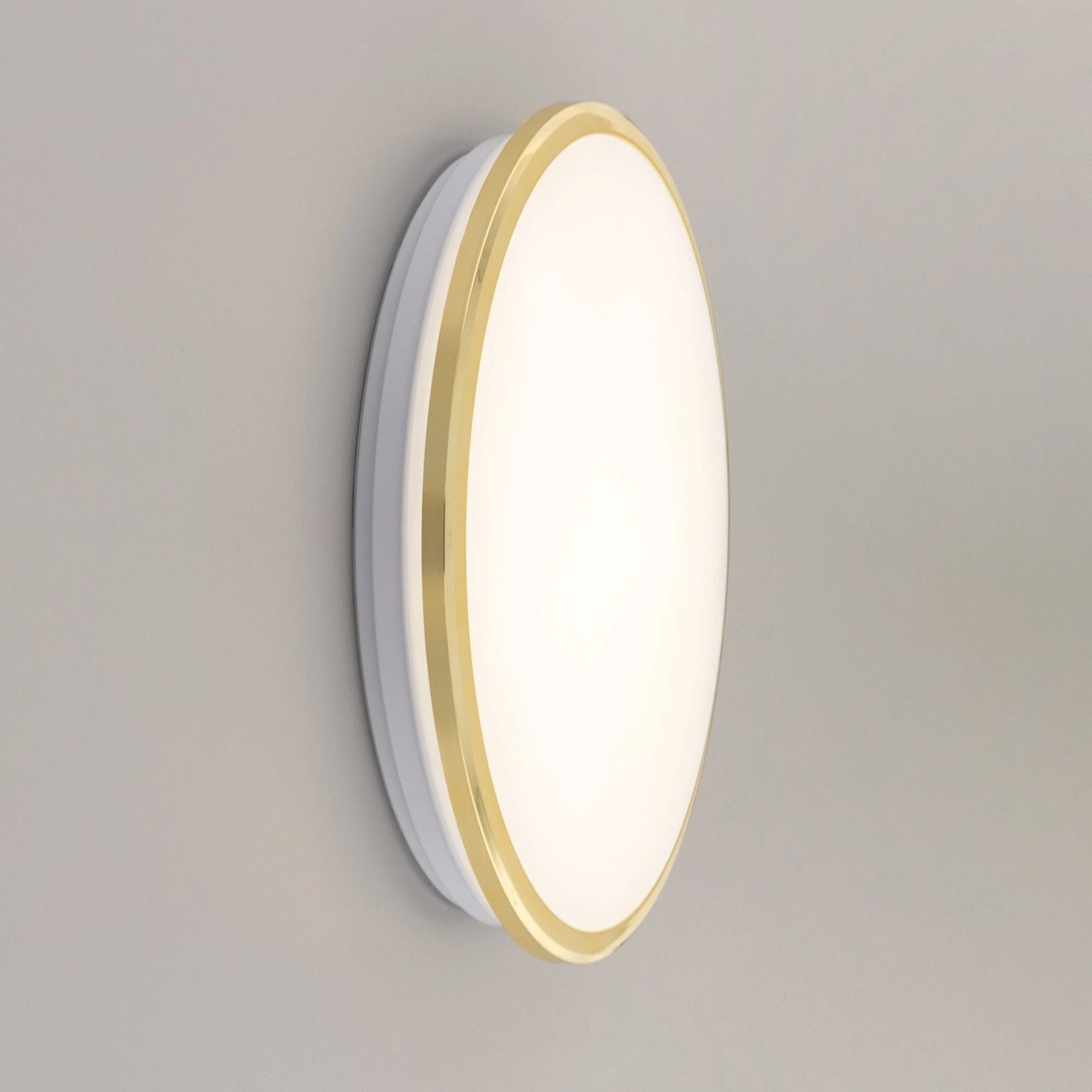 Citilux Потолочный светодиодный светильник Луна CL702222W — миниатюра 15