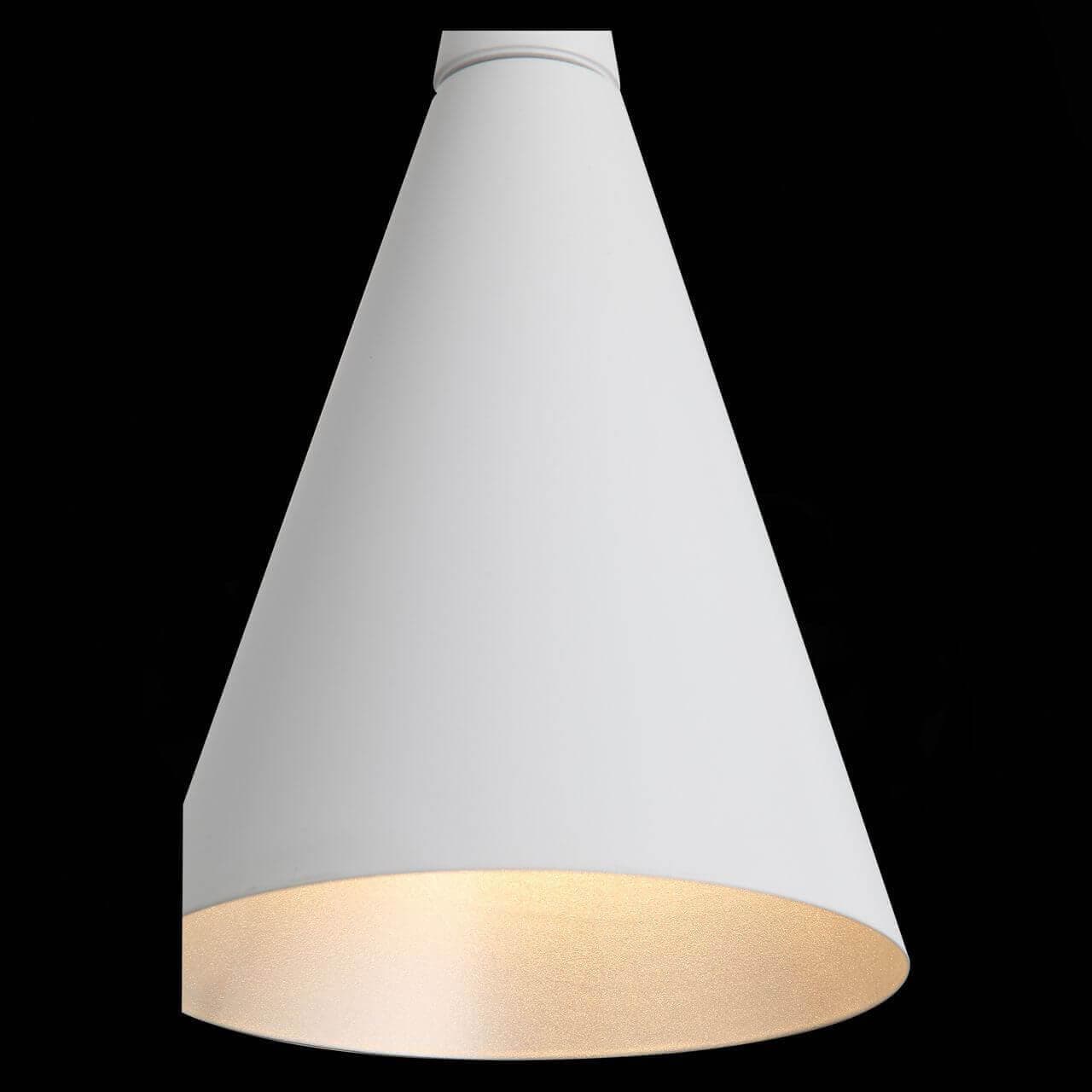 ST LUCE SL874.503.01 Подвес Белый/Белый E27 1*40W — миниатюра 3