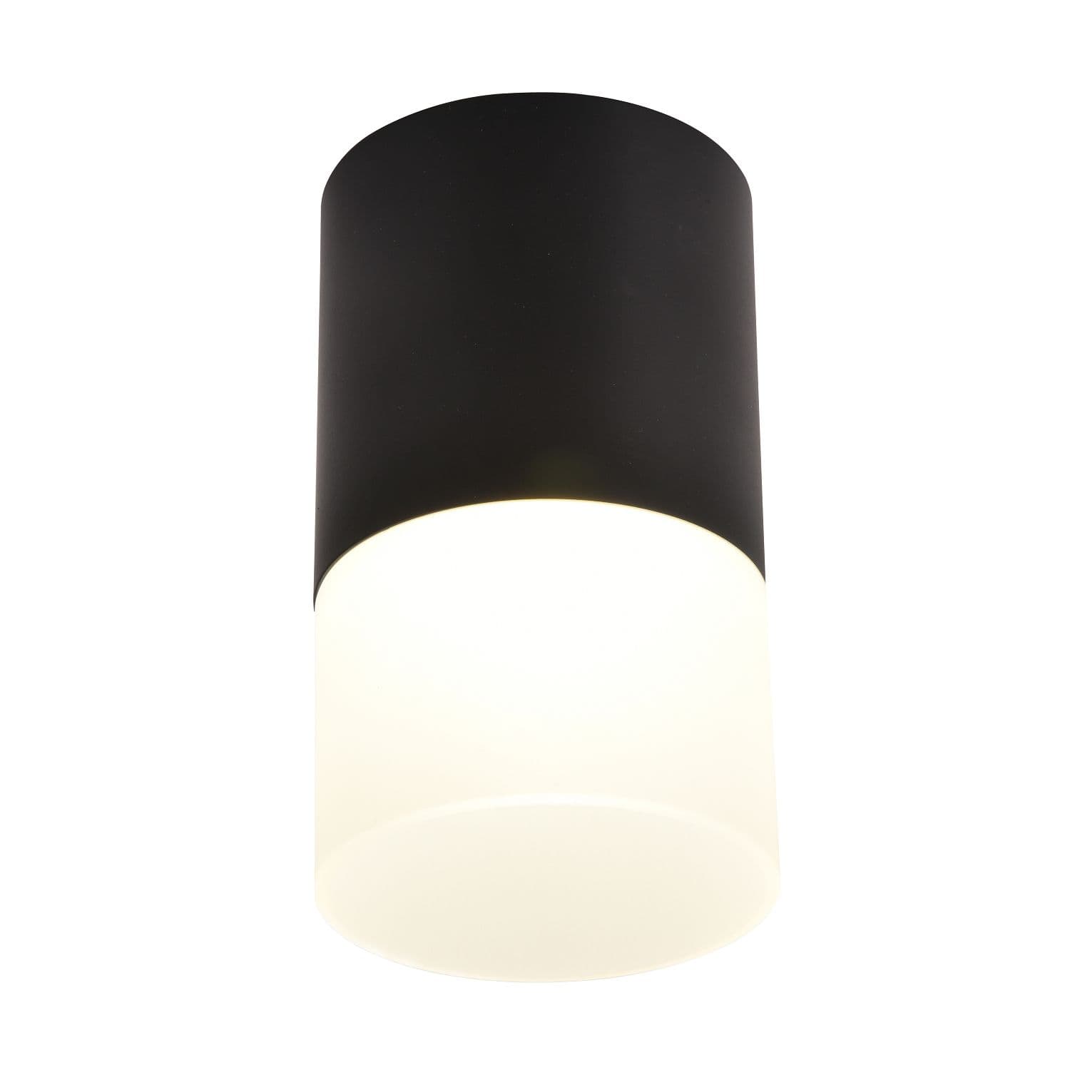 Favourite Потолочный светильник Naram D64*H110 LED*5W, 400LM, 4000K, IP20, included 3070-1C