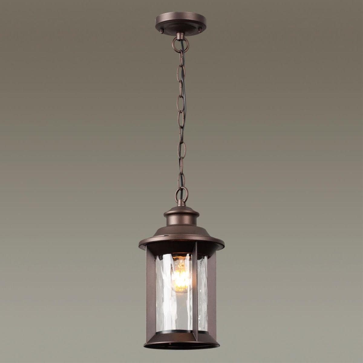 Odeon Light 4961/1 NATURE ODL22 577 темно-коричневый/стекло Ландшафтный подвес E27 1*60W IP44 MAVRET — миниатюра 4