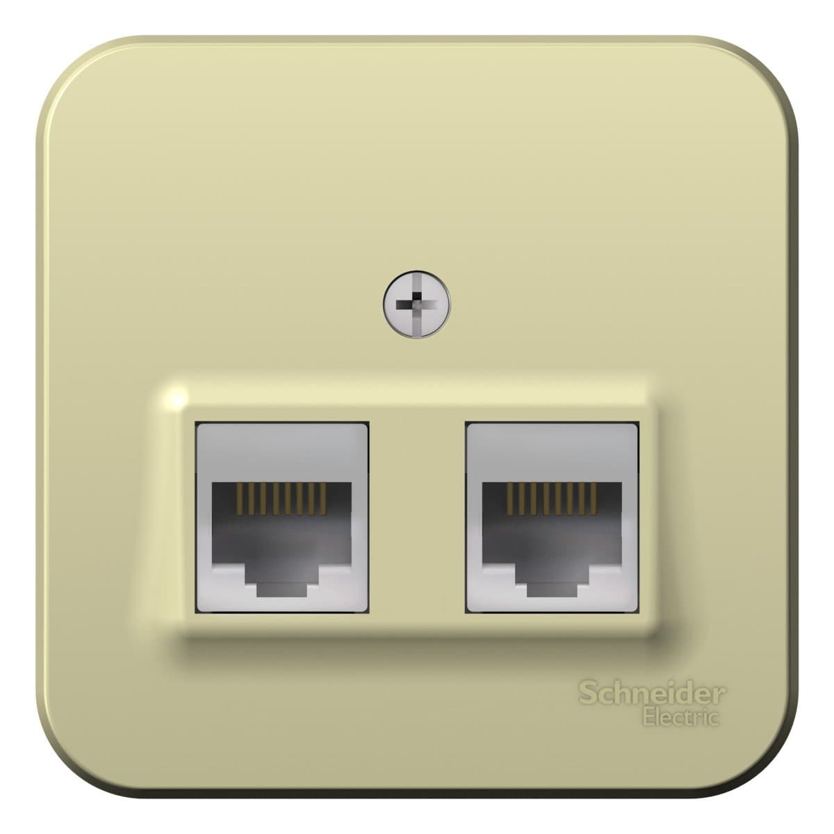 Systeme Electric Blanca наруж Беж Розетка 2-ая компьютерная RJ45, кат.5E, изолир. пластина — миниатюра 2