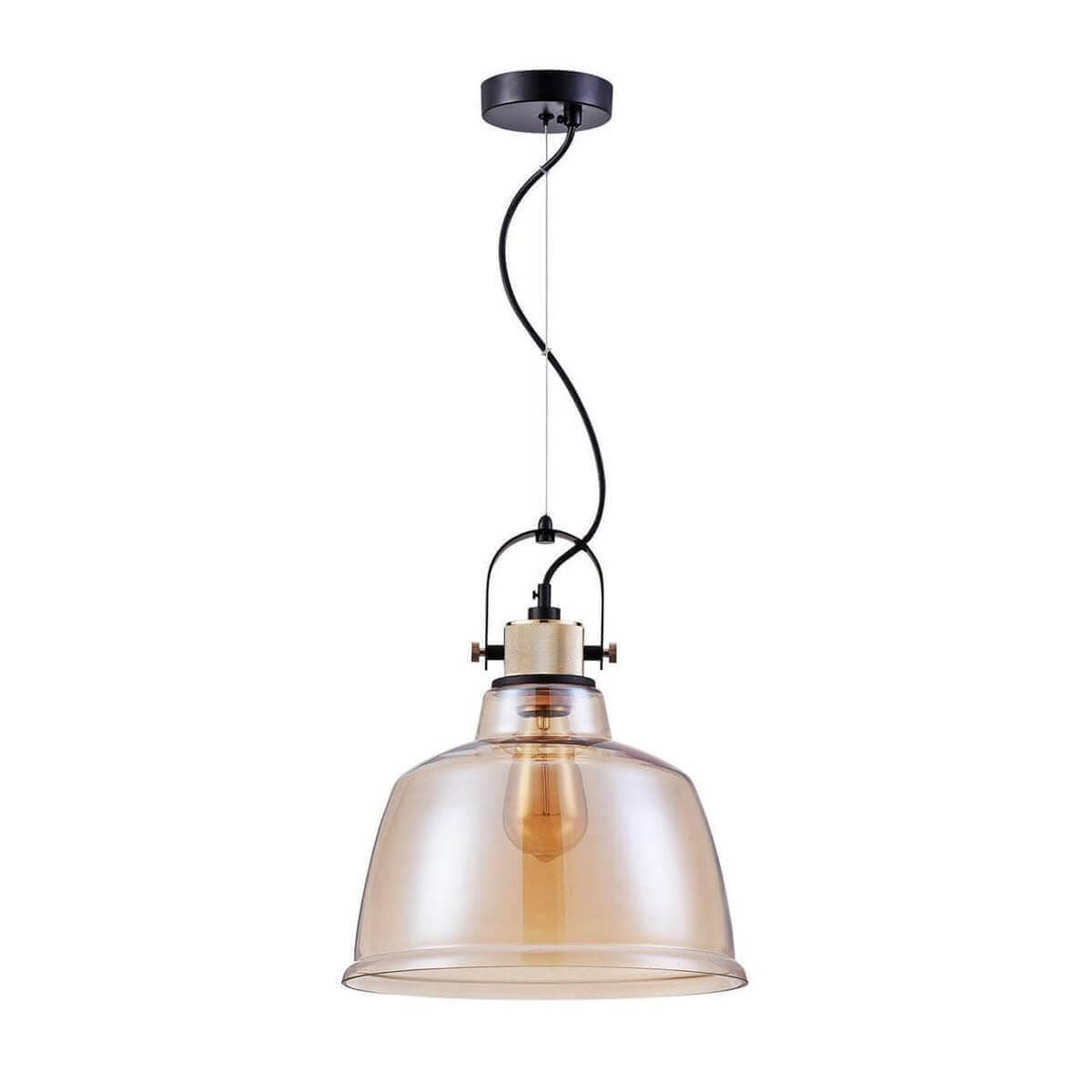 Maytoni Loft Irving Черный Подвес 1xE27 40W T163PL-01R