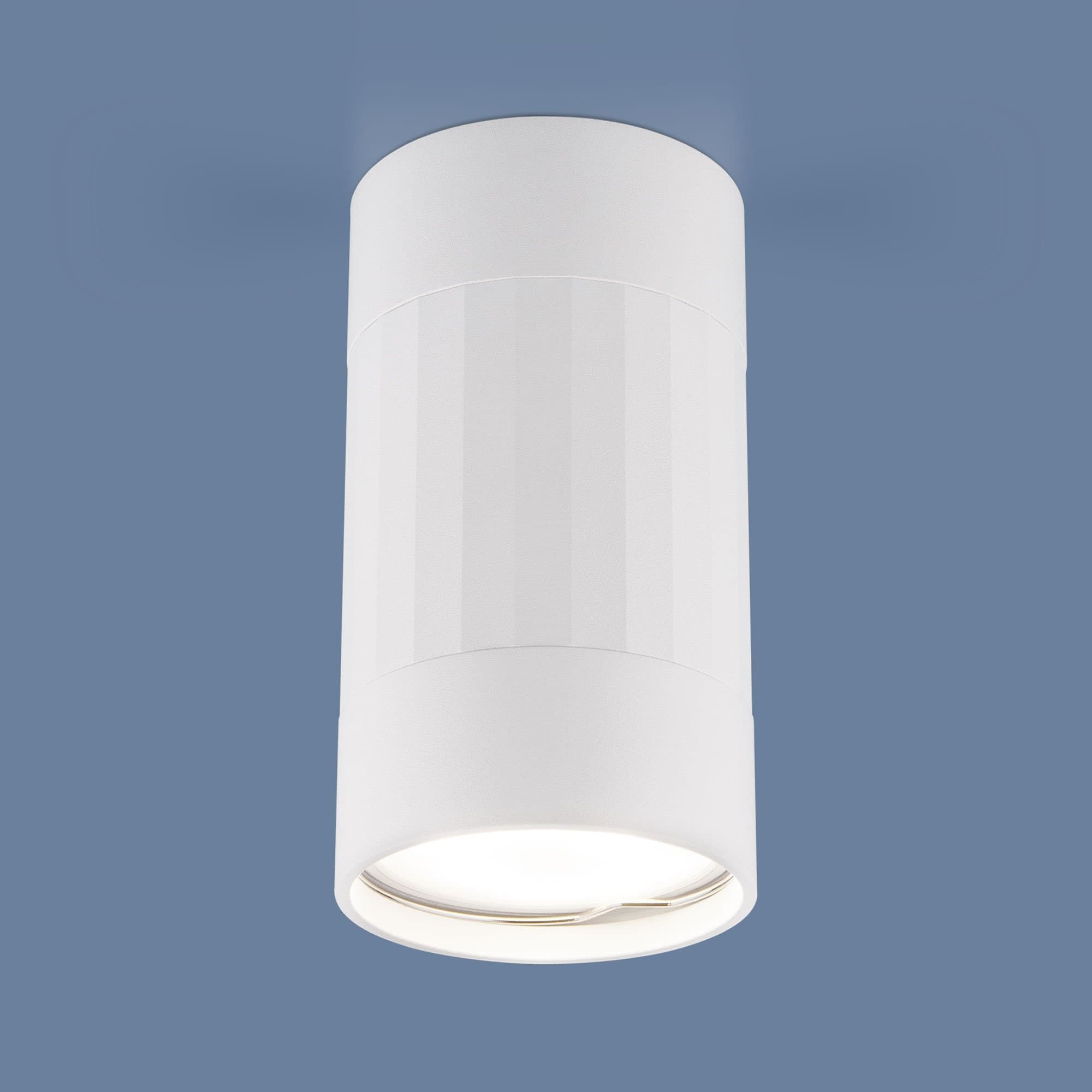 Elektrostandard DLN111 GU10 / Светильник накладной белый a047754