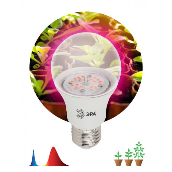 ЭРА FITO-12W-RB-E27-K Лампа красно-синего спектра — миниатюра 2