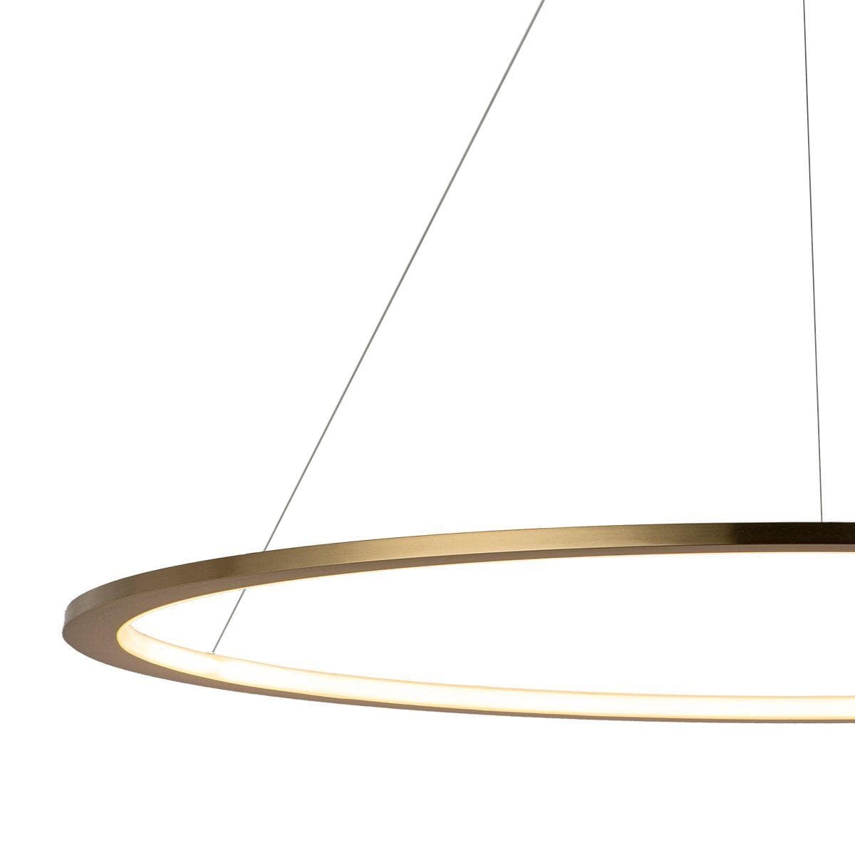 LOFT IT 10014L Светильник подвесной Ring, шт — миниатюра 3