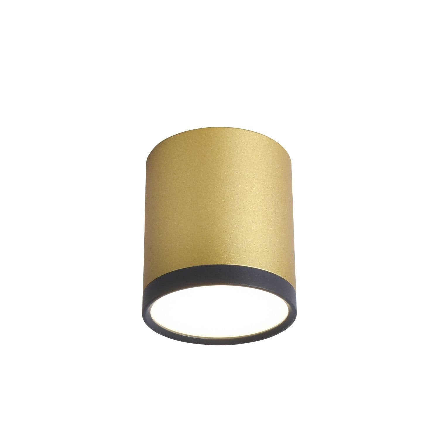 Favourite Потолочный светильник Baral D68*H75 LED*5W, 250LM, 4000K, IP20, included 3082-1C