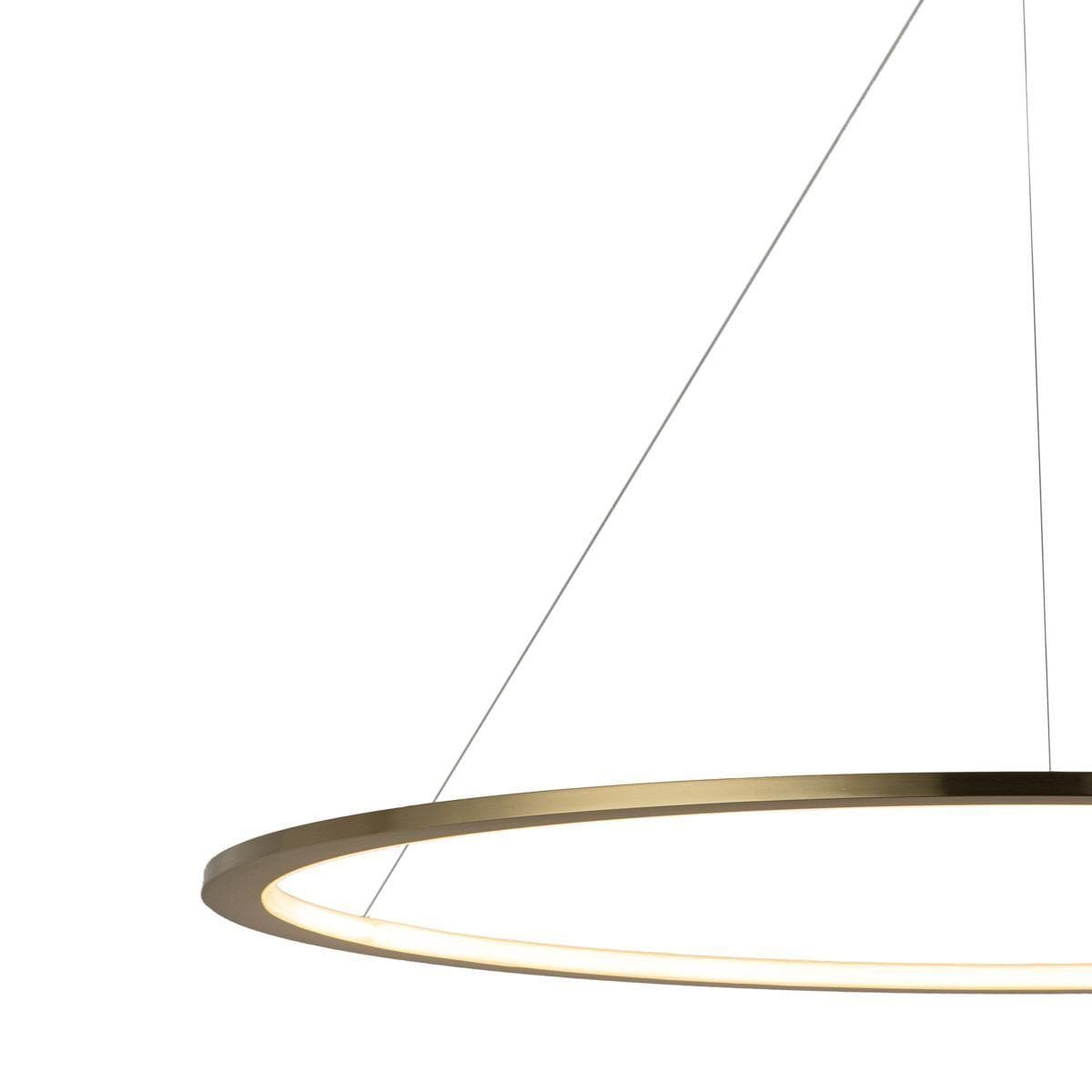 LOFT IT 10014XXL Светильник подвесной Ring, шт — миниатюра 2
