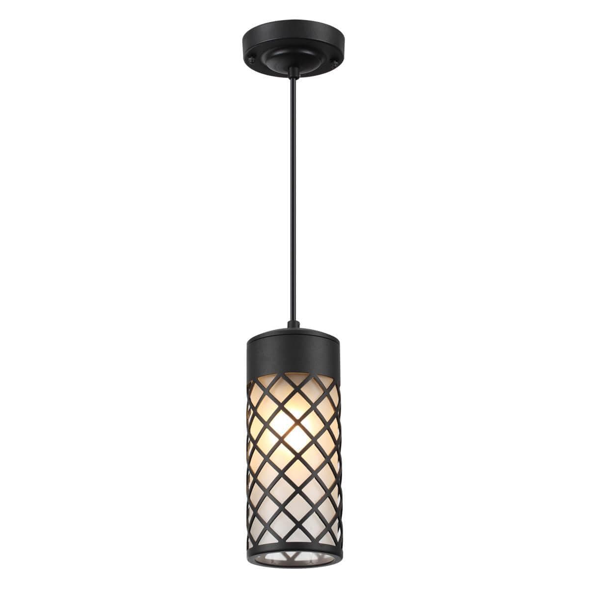 Odeon Light 4834/1 NATURE ODL21 567 черный/стекло Ландшафтный светильник-подвес E27 1*60W IP44 DUNES