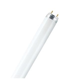 Osram Лампа люминесцентная LUMILUX T8 L 58W/840 4058075692916