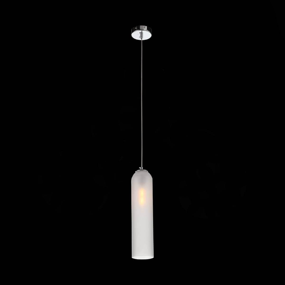 ST Luce SL1145.153.01 Светильник подвесной Хром/Белый E27 1*60W — миниатюра 4