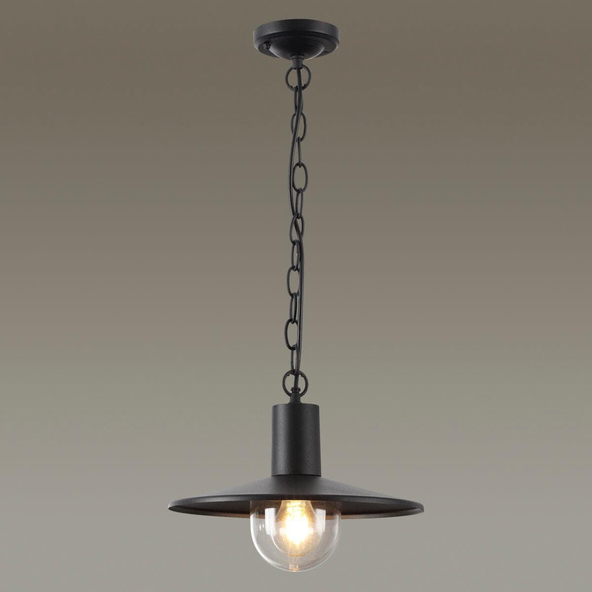 Odeon Light 4833/1 NATURE ODL21 565 черный/стекло Ландшафтный светильник-подвес E27 1*40W IP44 FURCADIA — миниатюра 3