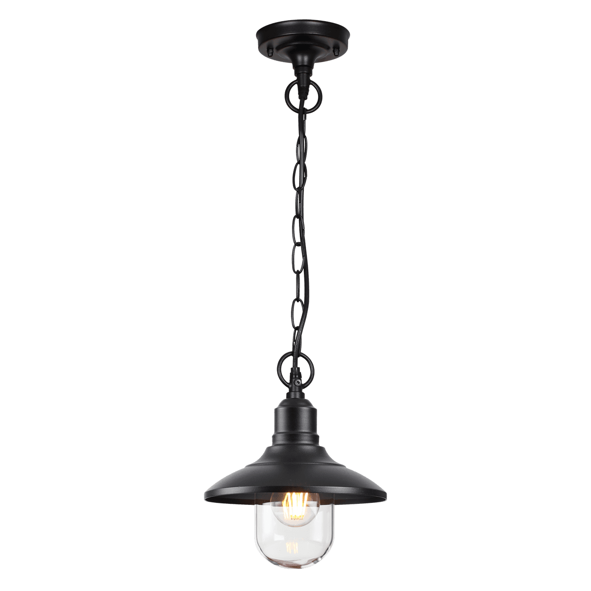 Odeon Light 4965/1 NATURE ODL22 579 черный/стекло Ландшафтный подвес E27 1*60W IP44 CAMPA — миниатюра 2