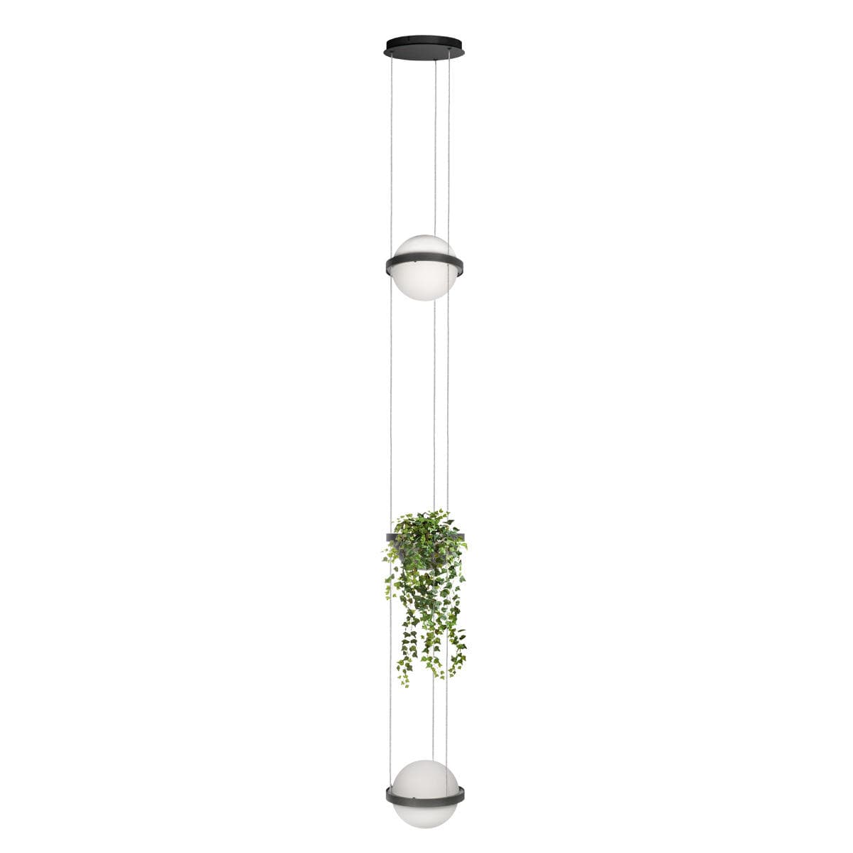 LOFT IT 10121/2P Dark grey Подвесной светильник Jardin