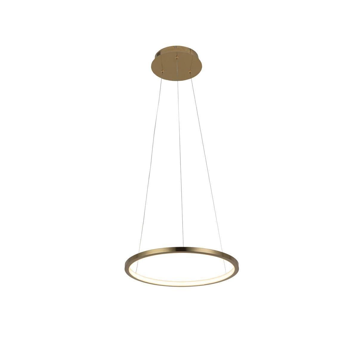 LOFT IT 10014S Светильник подвесной Ring, шт — миниатюра 1