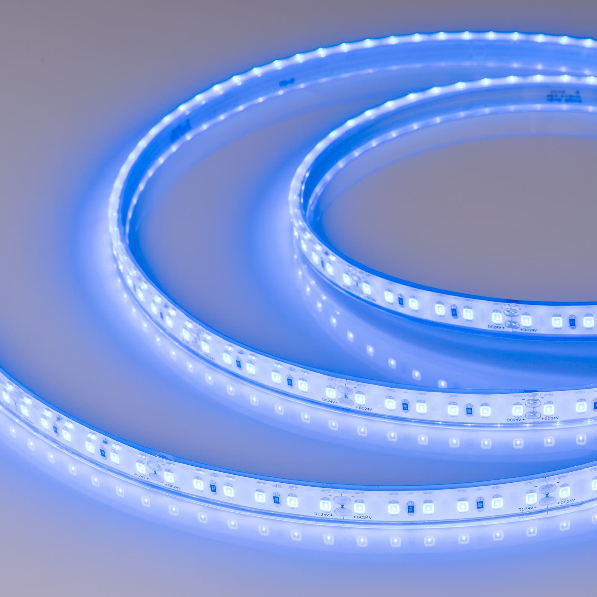 Arlight Светодиодная лента RTW-5000PU-2835-120 24V Blue (10.5mm, 14.4W, IP68) (Закрытый) 032079 — миниатюра 2
