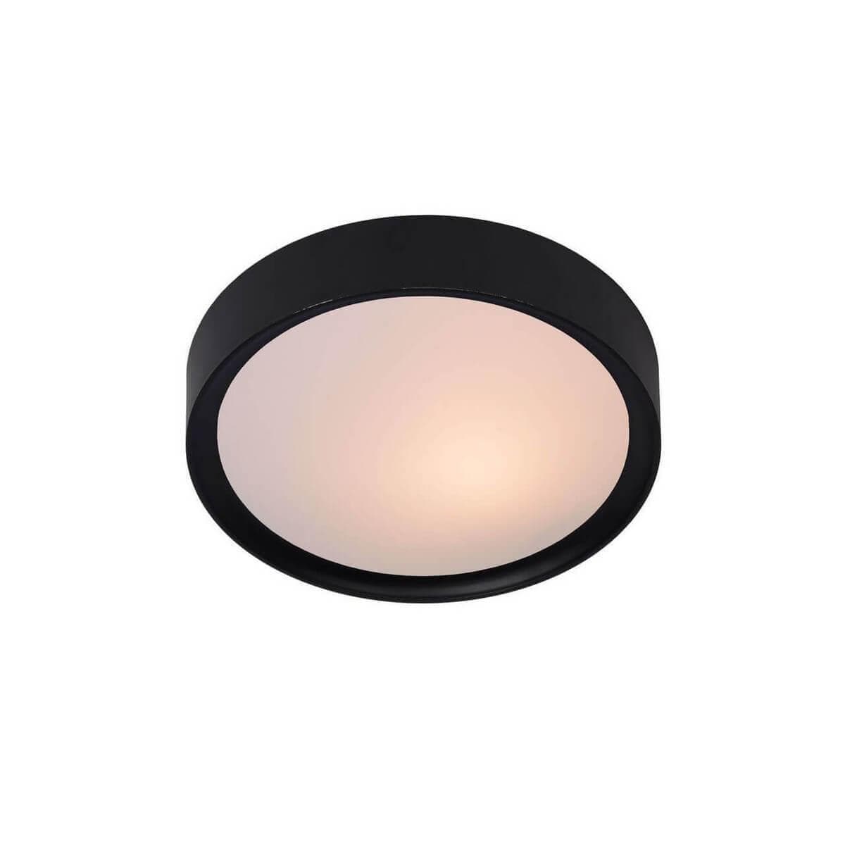 Lucide Lex Модерн Пластик Настено-Потолочный светильник E27 40W 08109/01/30 — миниатюра 1
