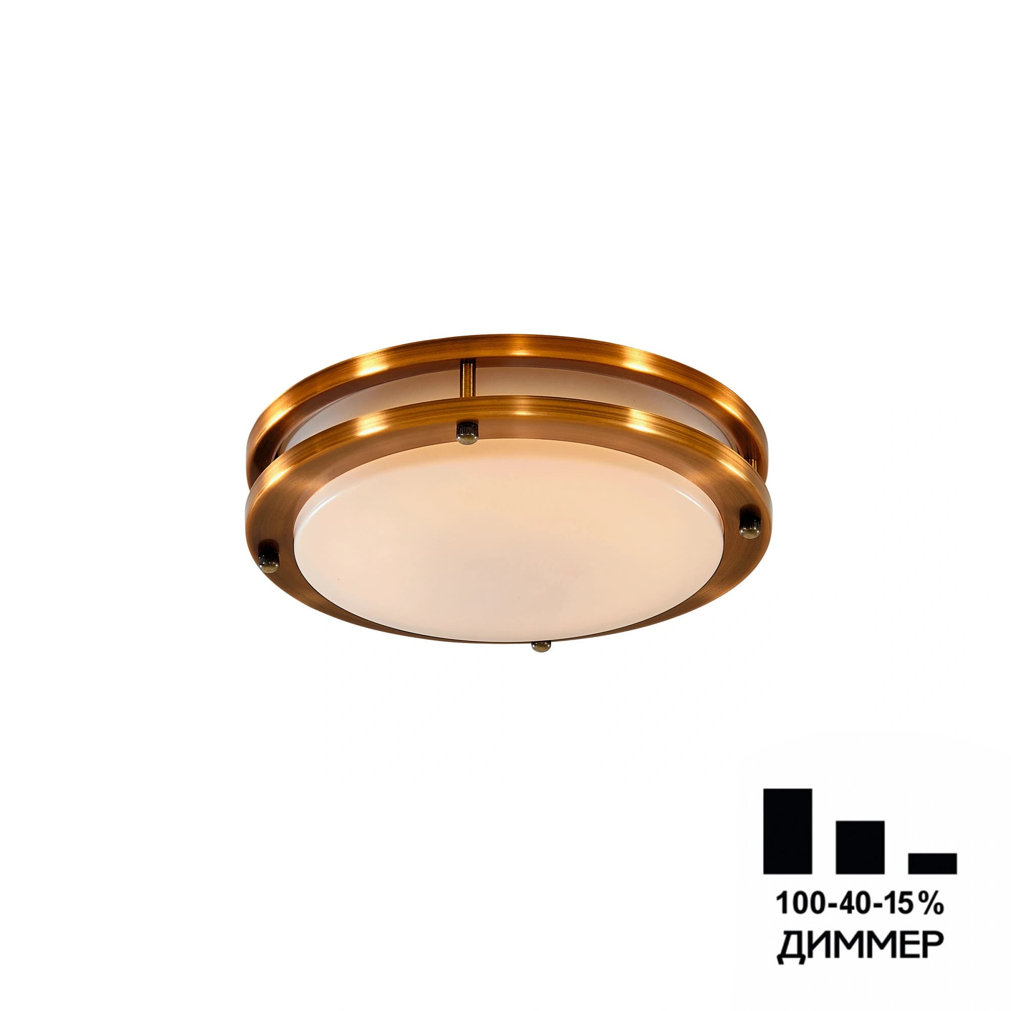 Citilux CL709203N Бостон Бронза Светильник накладной LED 20W*4000K