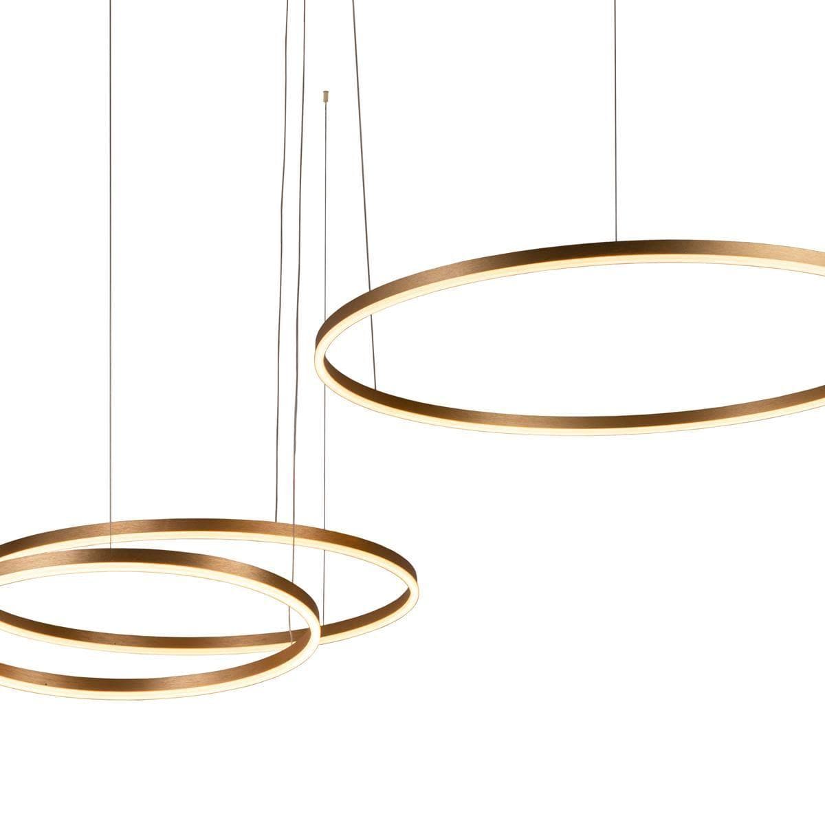 LOFT IT 10017/3L Светильник подвесной Ring, шт — миниатюра 3