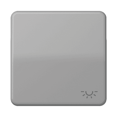 JUNG CD 500/CD plus Серая Клавиша 1-ая с символом ОСВЕЩЕНИЕ CD590LGR