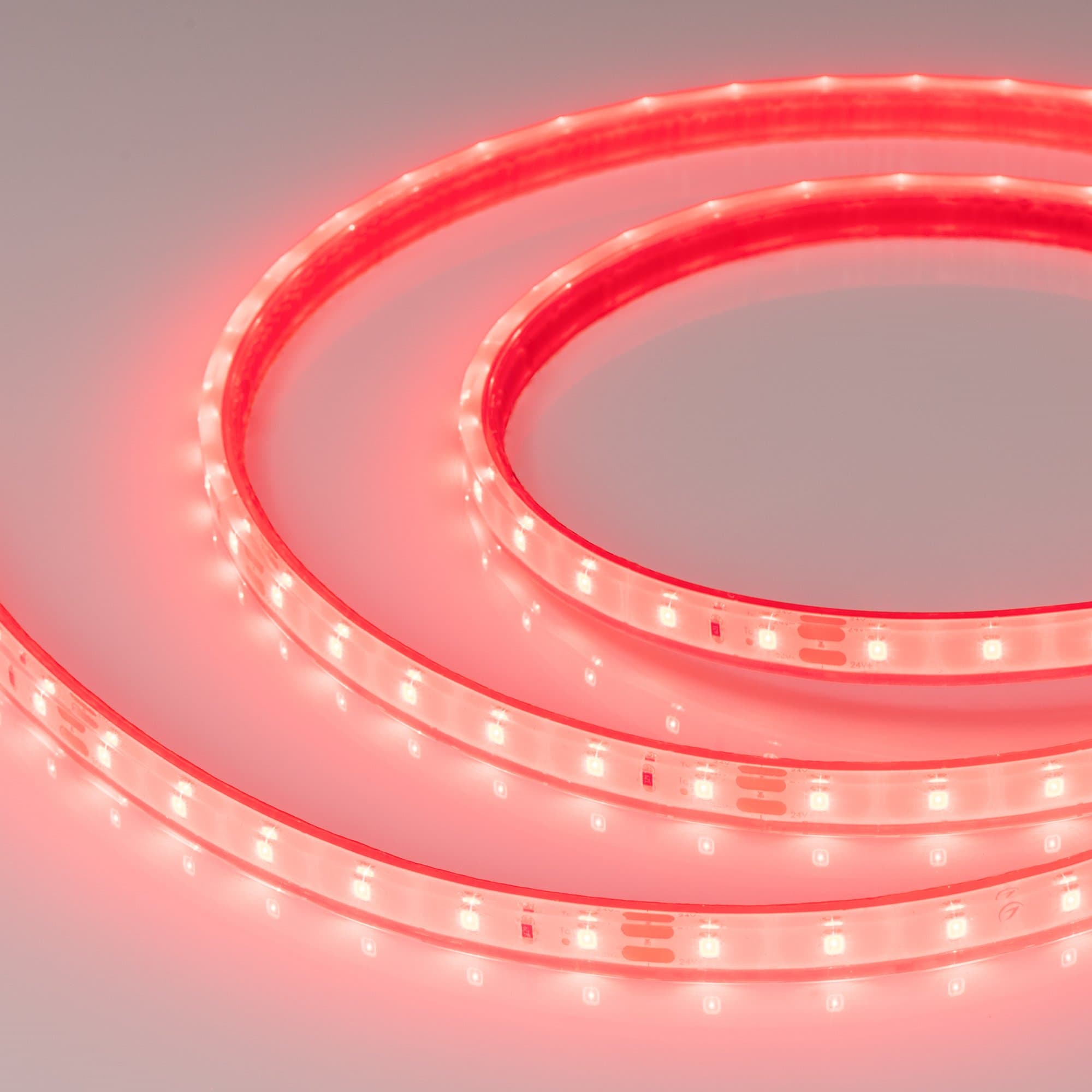Arlight Лента герметичная RTW-PFS-A60-11mm 24V Red (4.8 W/m, IP68, 2835, 5m) (-) 034182 — миниатюра 2
