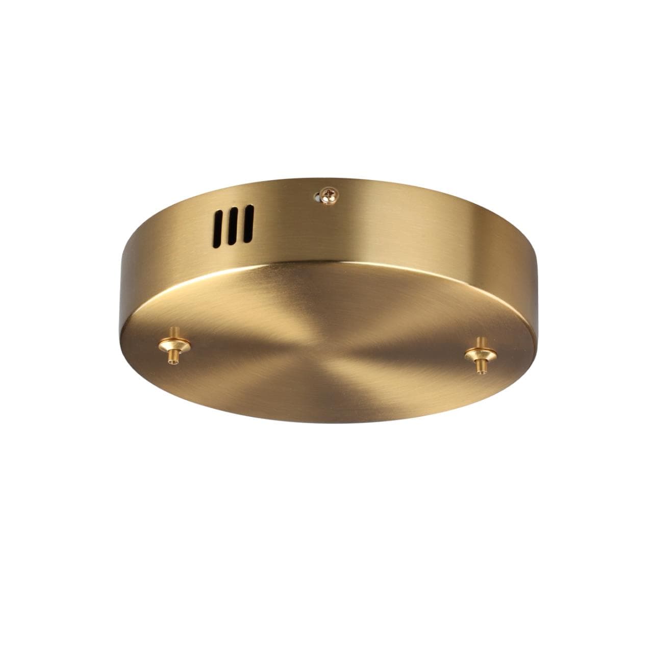 Lumion 6531/2L LEDIO LN23 латунь Основание для подвеса 220V ECHO