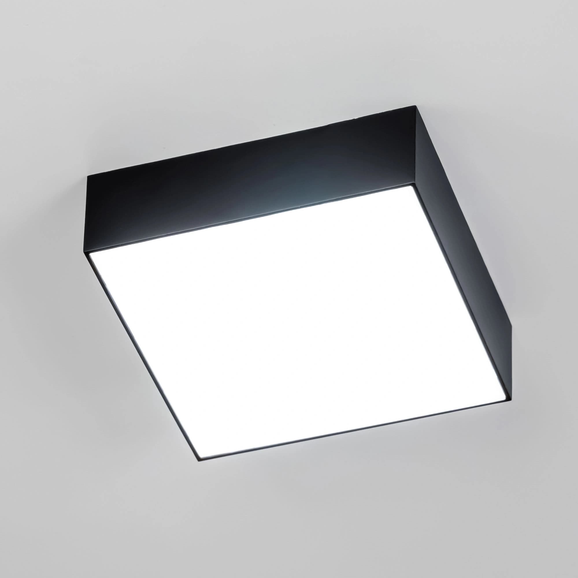 Citilux CL712X122N Тао Черный Светильник Накл. LED 12W*4000K — миниатюра 3