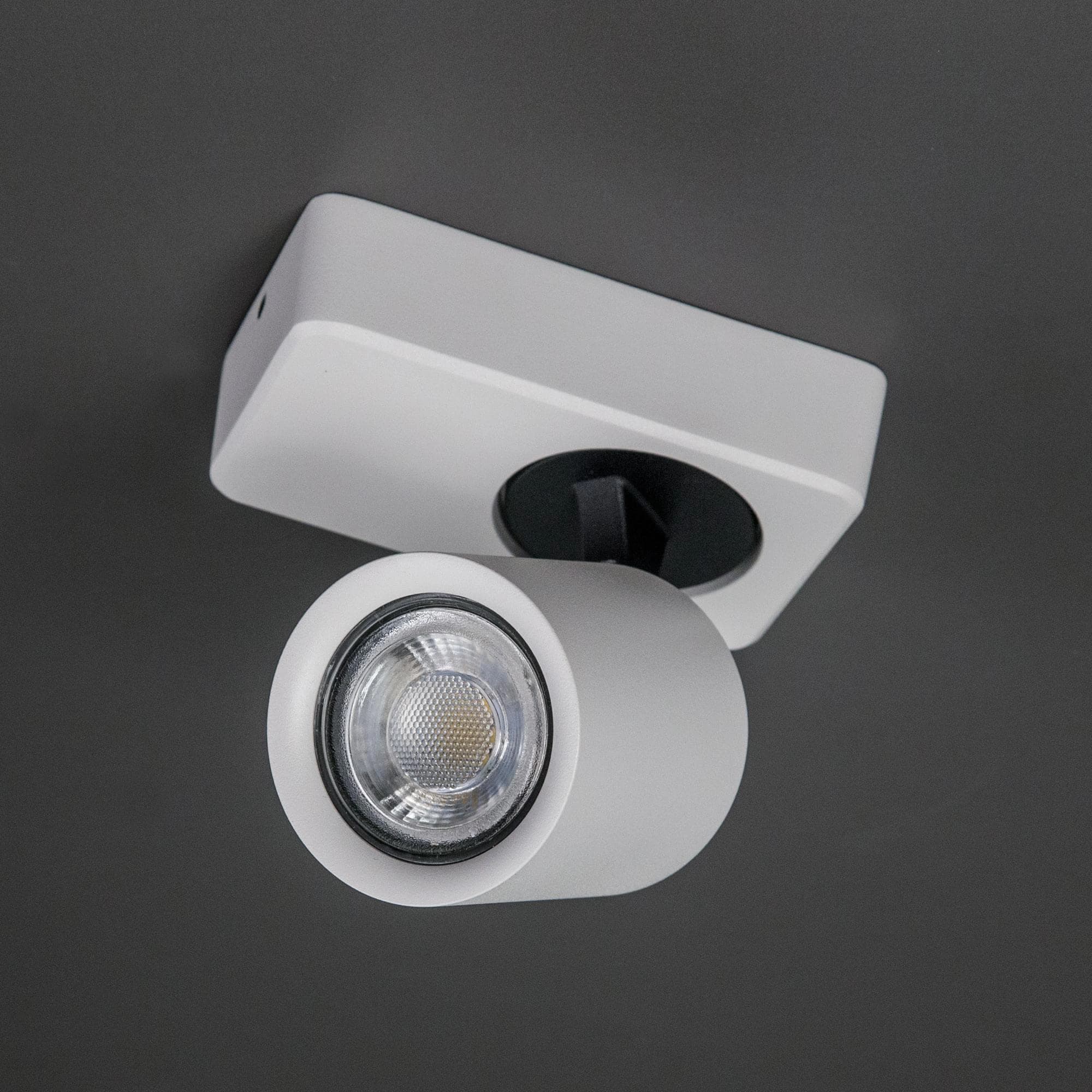 Citilux CL533510 Норман Светильник Наст-потол — миниатюра 3