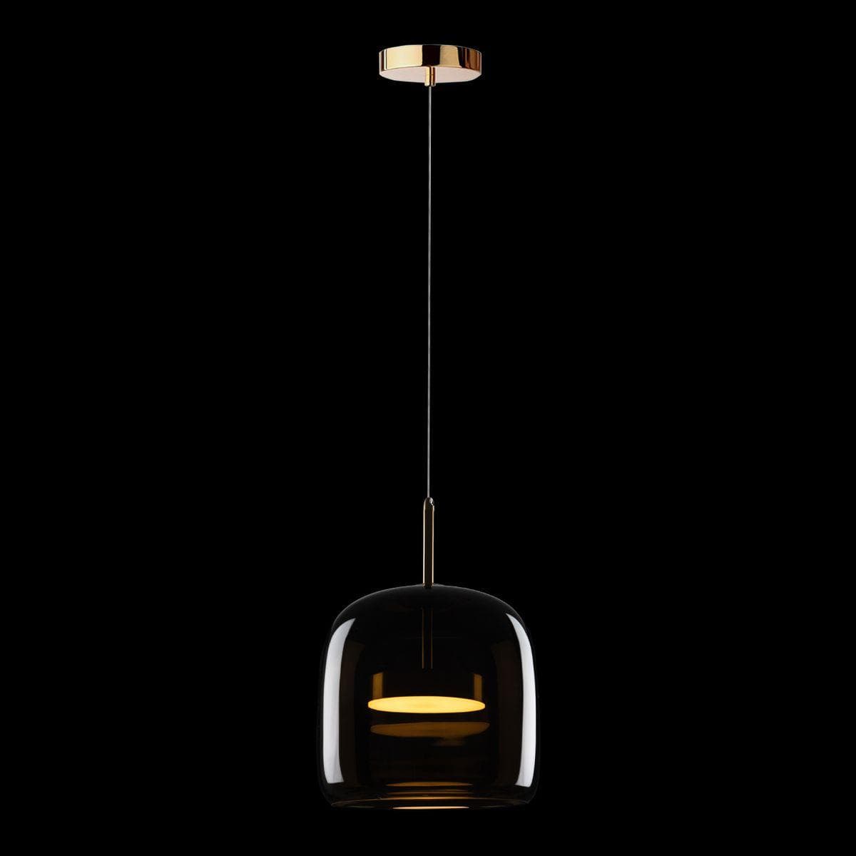 LOFT IT 10040A Светильник подвесной Dauphin, шт — миниатюра 4