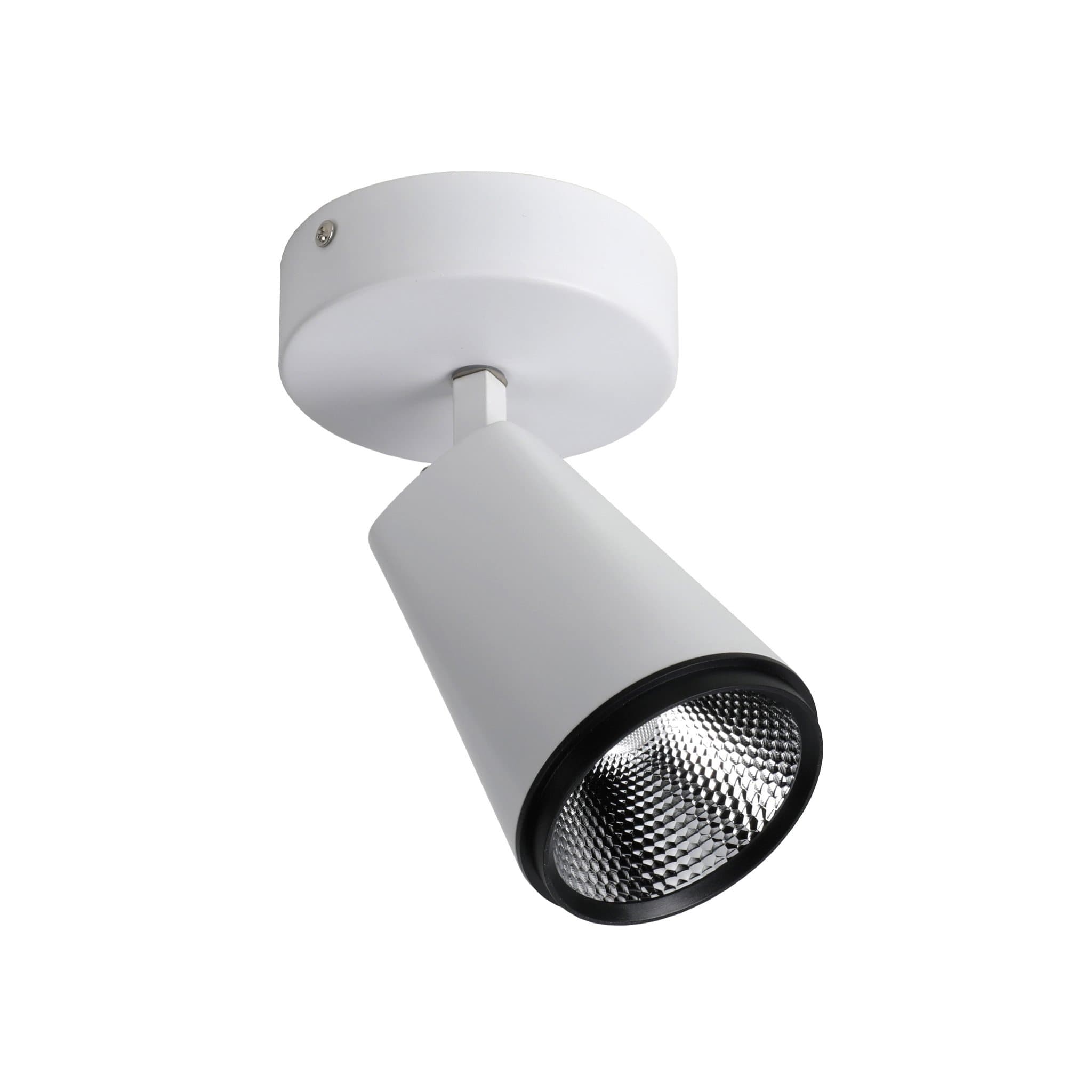 Favourite Projector Светильник потолочный металл белого цвета, угол наклона регулируется COB LED*20W, Ra>80, beam angle:24°, 4000K 1982-1U