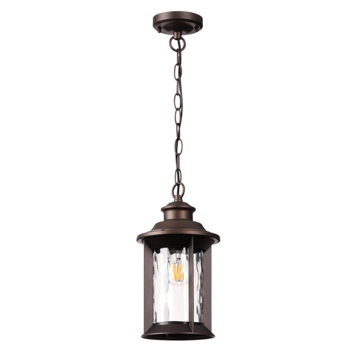 Odeon Light 4961/1 NATURE ODL22 577 темно-коричневый/стекло Ландшафтный подвес E27 1*60W IP44 MAVRET — миниатюра 1