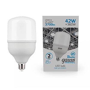 Gauss Лампа Elementary T120 42W 3700lm 6500K E27 LED 63234 — миниатюра 1