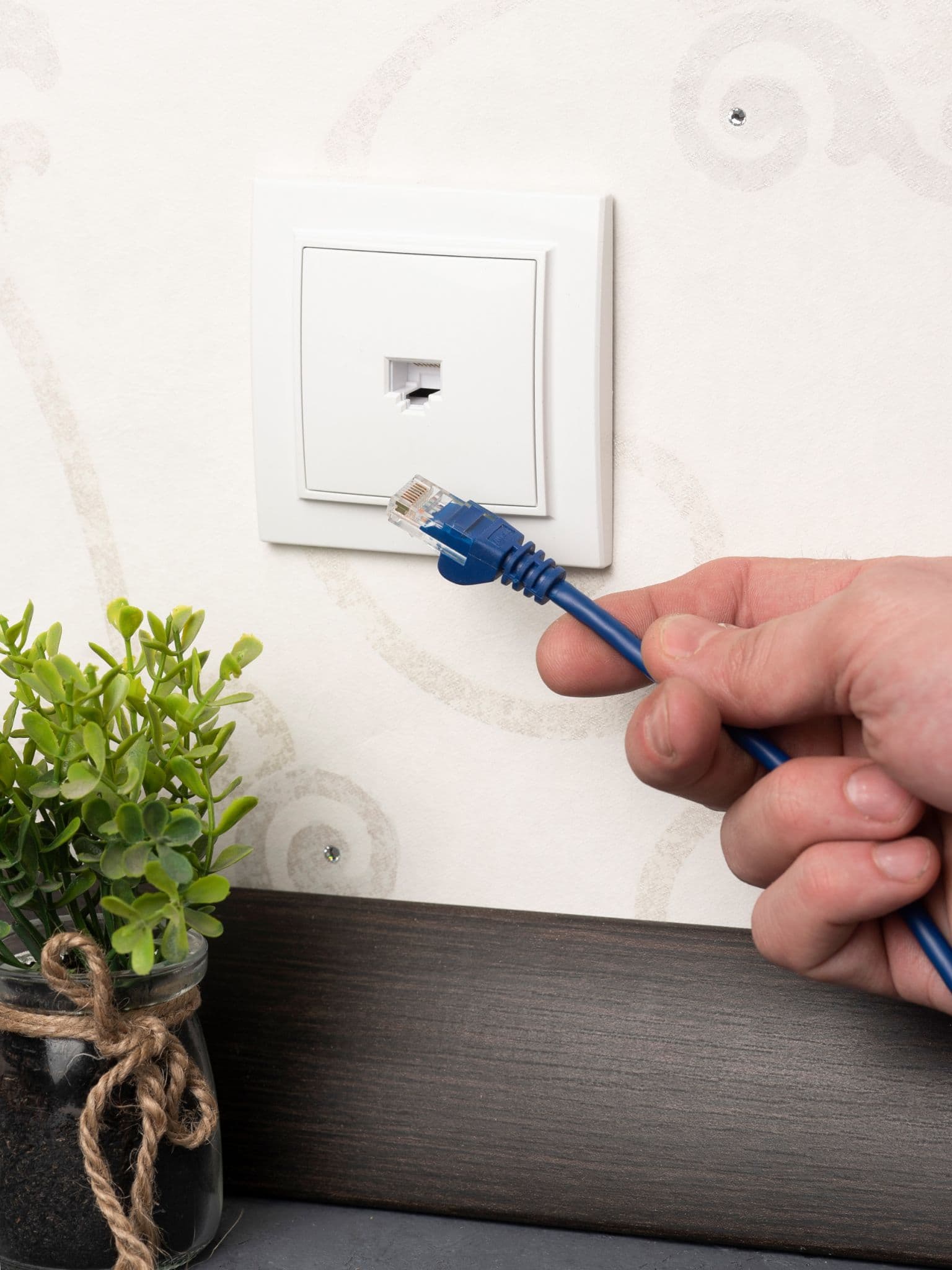 EKF Basic Минск Белый Розетка RJ-45, СП — миниатюра 4