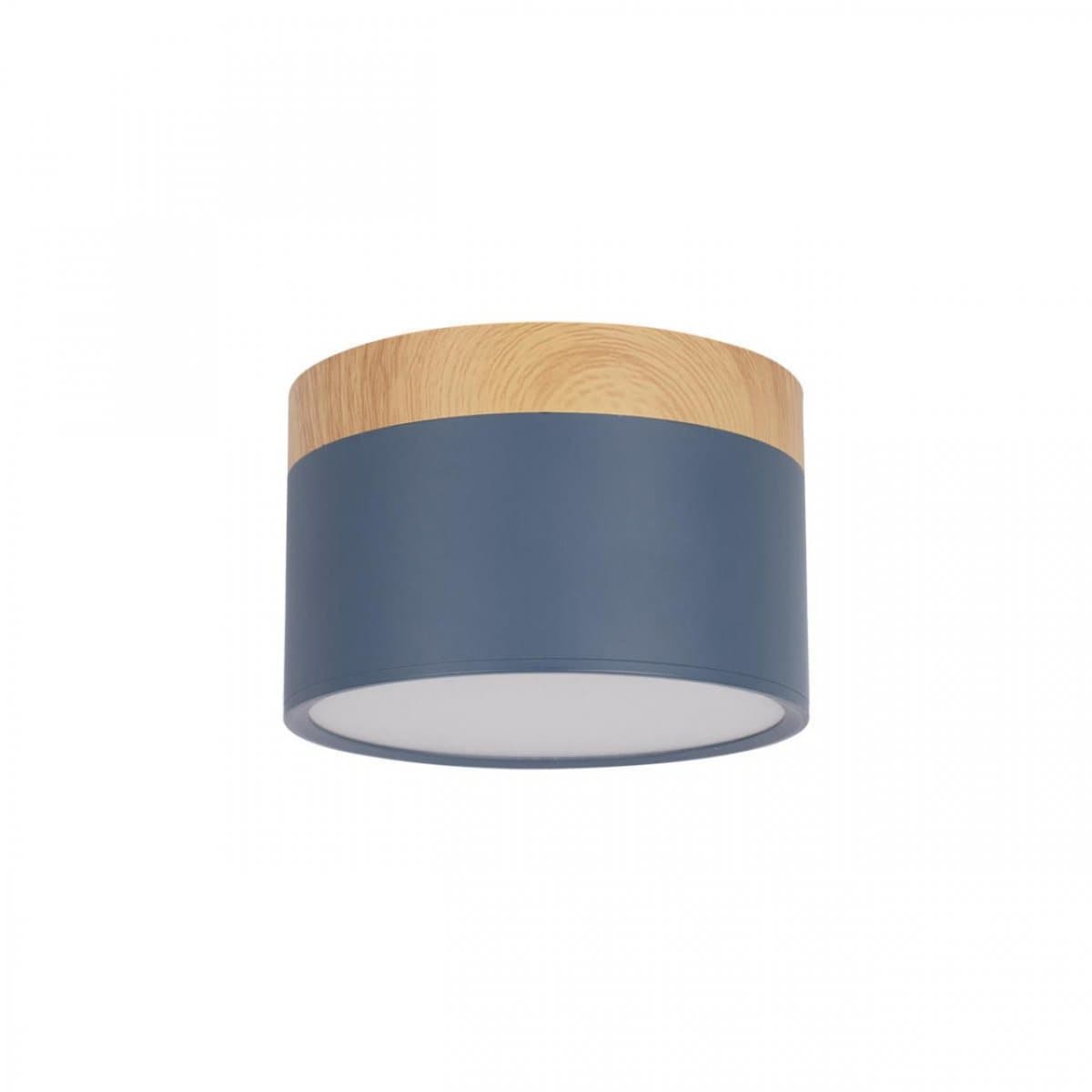 LOFT IT 10162 Blue Накладной светильник Grape, шт