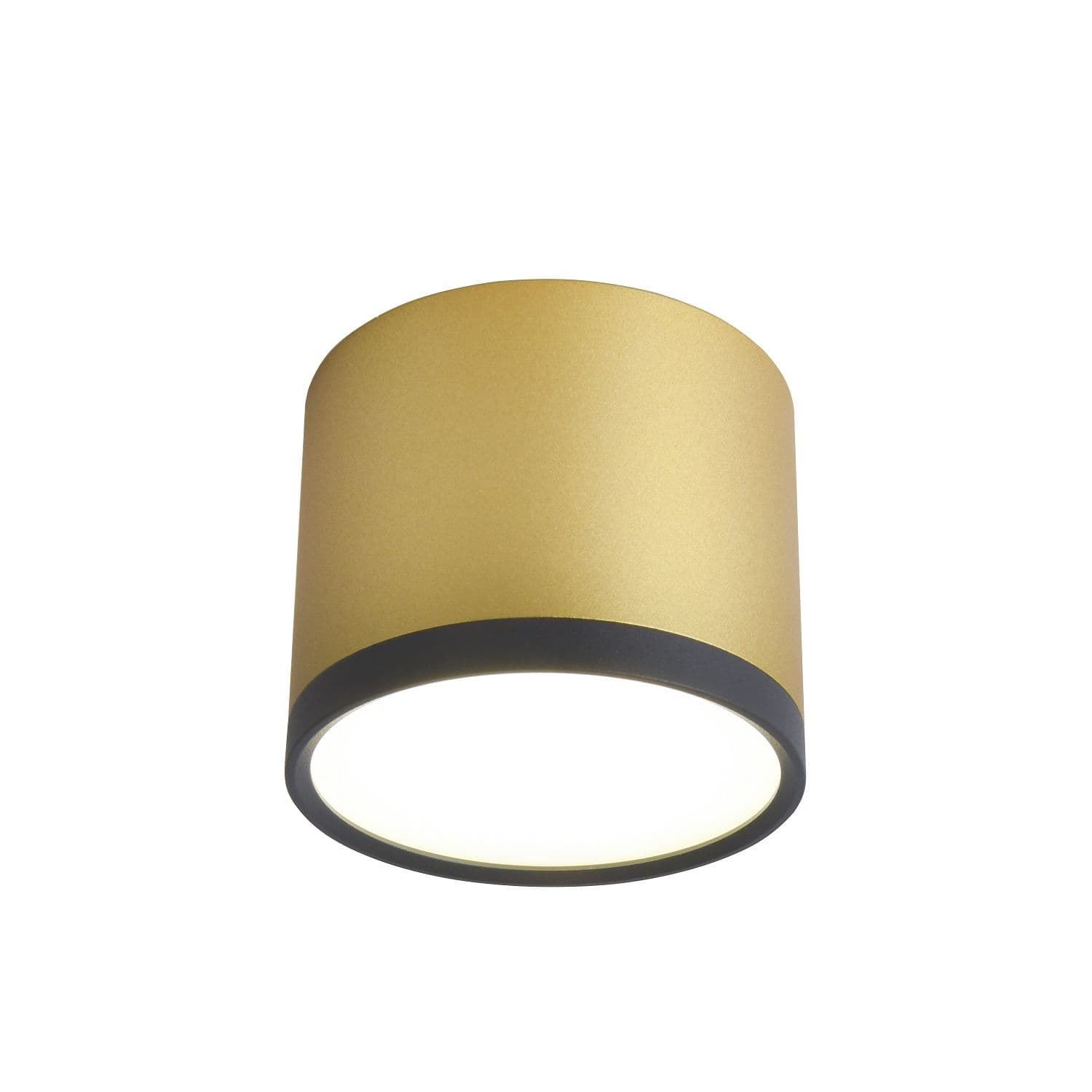 Favourite Потолочный светильник Baral D88*H75 LED*9W, 450LM, 4000K, IP20, included 3082-2C