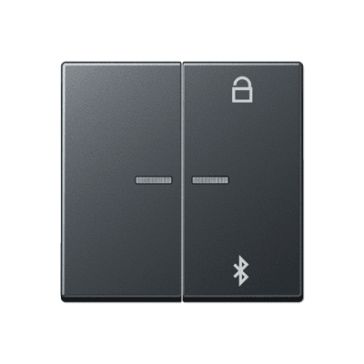 JUNG Таймер универсальный Bluetooth, матовый антрацит A1751BFBTANM