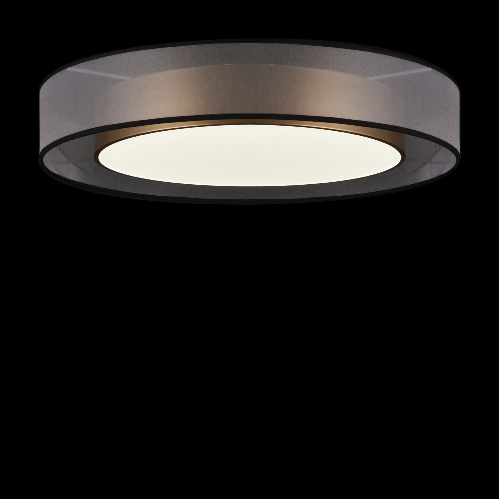 Freya Zoticus F FR6005CL-L48G Потолочный светодиодный светильник — миниатюра 4