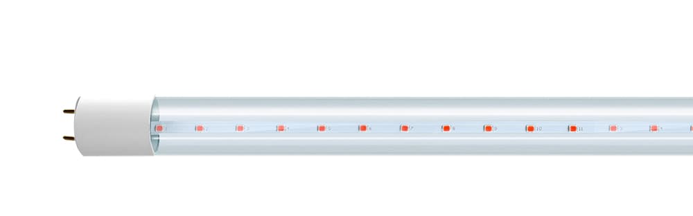 Jazzway PLED T8 900gro 12w CL G13 ( для растений) .5037410