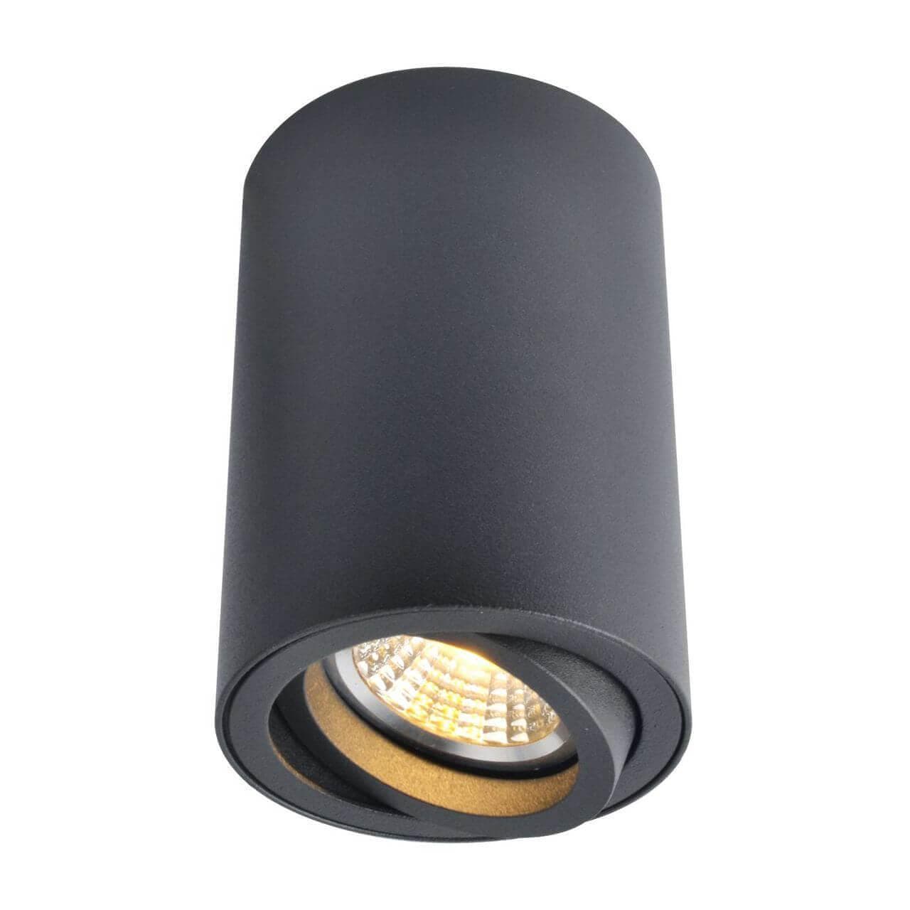 Arte Lamp SENTRY Потолочные светильники A1560PL-1BK — миниатюра 1