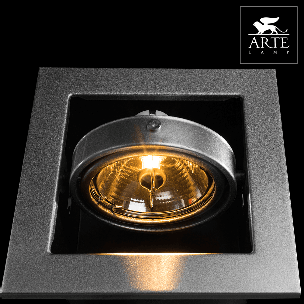 Arte Lamp Cardani Серебро/Серый Светильник точечный встаиваемый 50W G5,3 1x500lm A5930PL-1SI — миниатюра 3