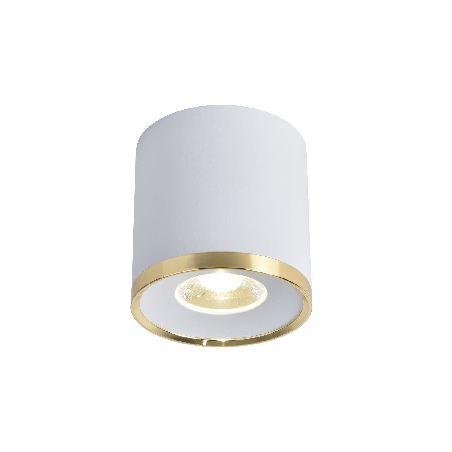 Favourite Потолочный светильник Prakash D88*H91 LED*10W, 850LM, 4000K, IP20, included 3085-2C