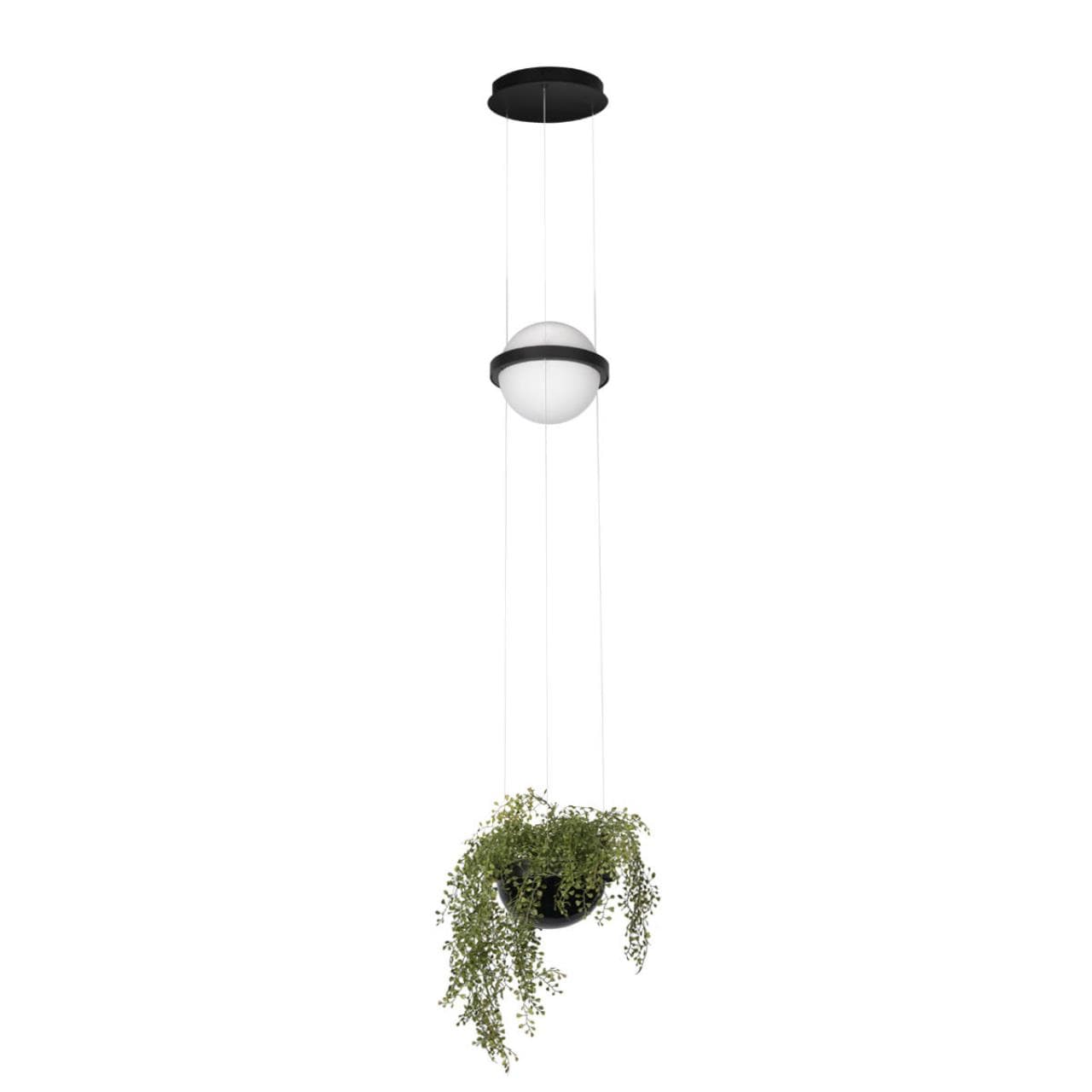 LOFT IT 10121/B Подвесной светильник Jardin, шт
