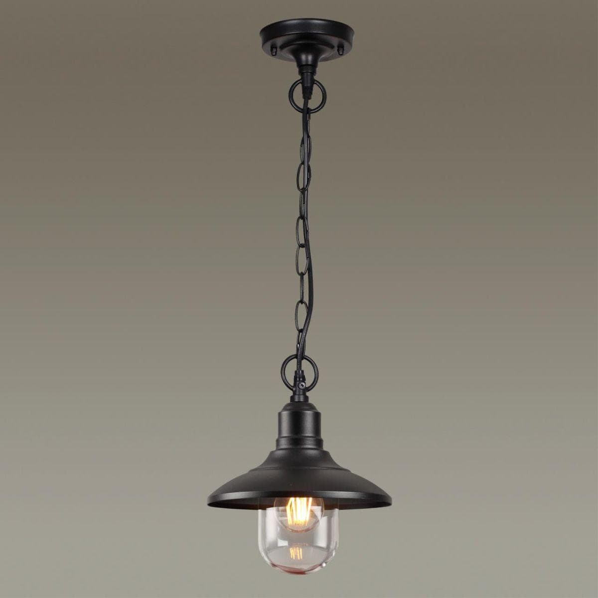 Odeon Light 4965/1 NATURE ODL22 579 черный/стекло Ландшафтный подвес E27 1*60W IP44 CAMPA — миниатюра 4