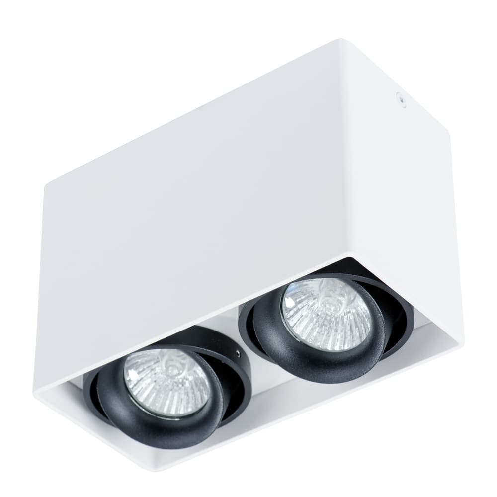 Arte Lamp PICTOR Потолочные светильники A5655PL-2WH