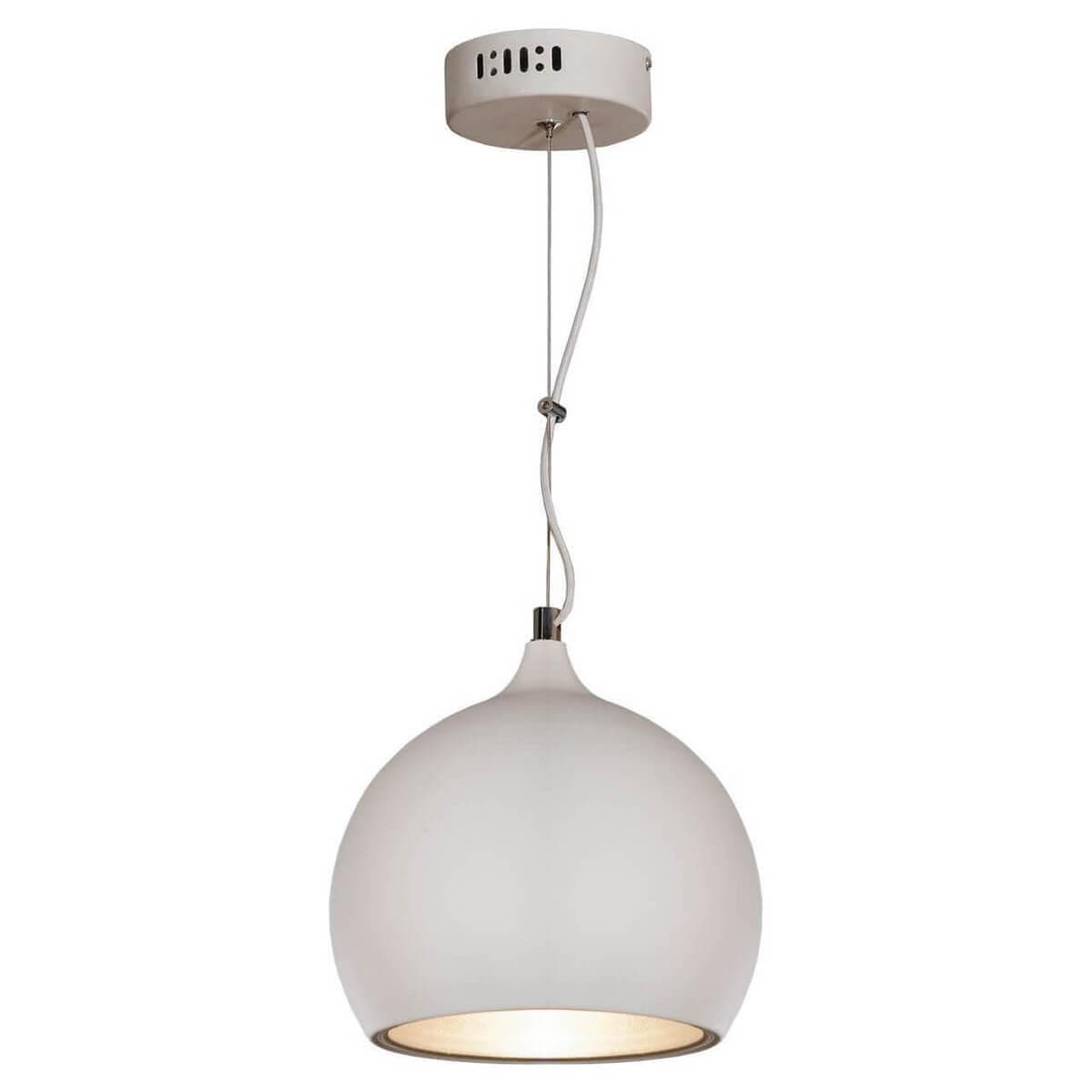 Lussole LOFT Металл Белый /  Металл Подвес E27 10W GRLSN-6126-01 — миниатюра 1